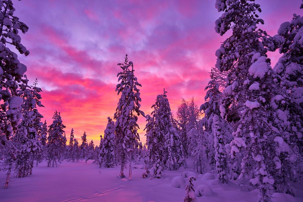 Lapland Guesthouse Kangos 외부 사진