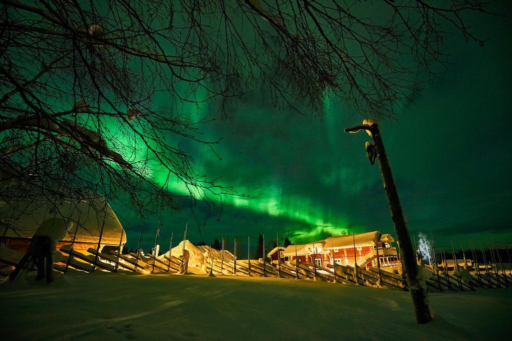 Lapland Guesthouse Kangos 외부 사진