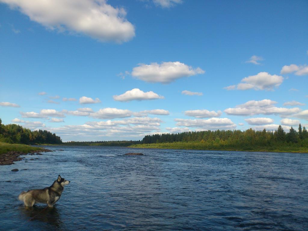 Lapland Guesthouse Kangos 외부 사진